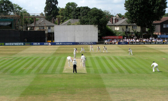 Essex cricket