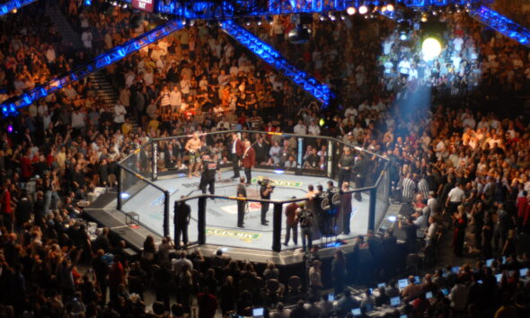 an example of the UFC octagon that Israel Adesanya fights in.