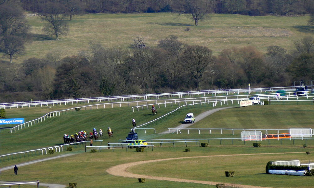 Cheltenham Festival 2021: Day Three Tips - Sporting Ferret