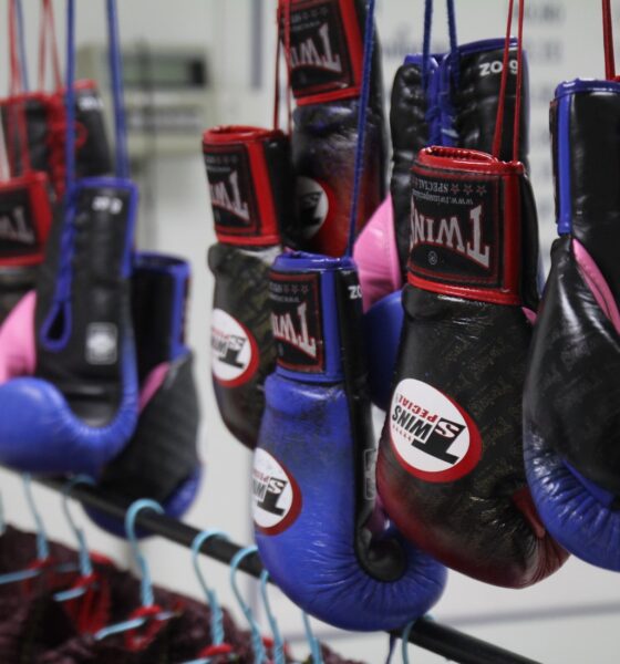 Muay Thai Gloves